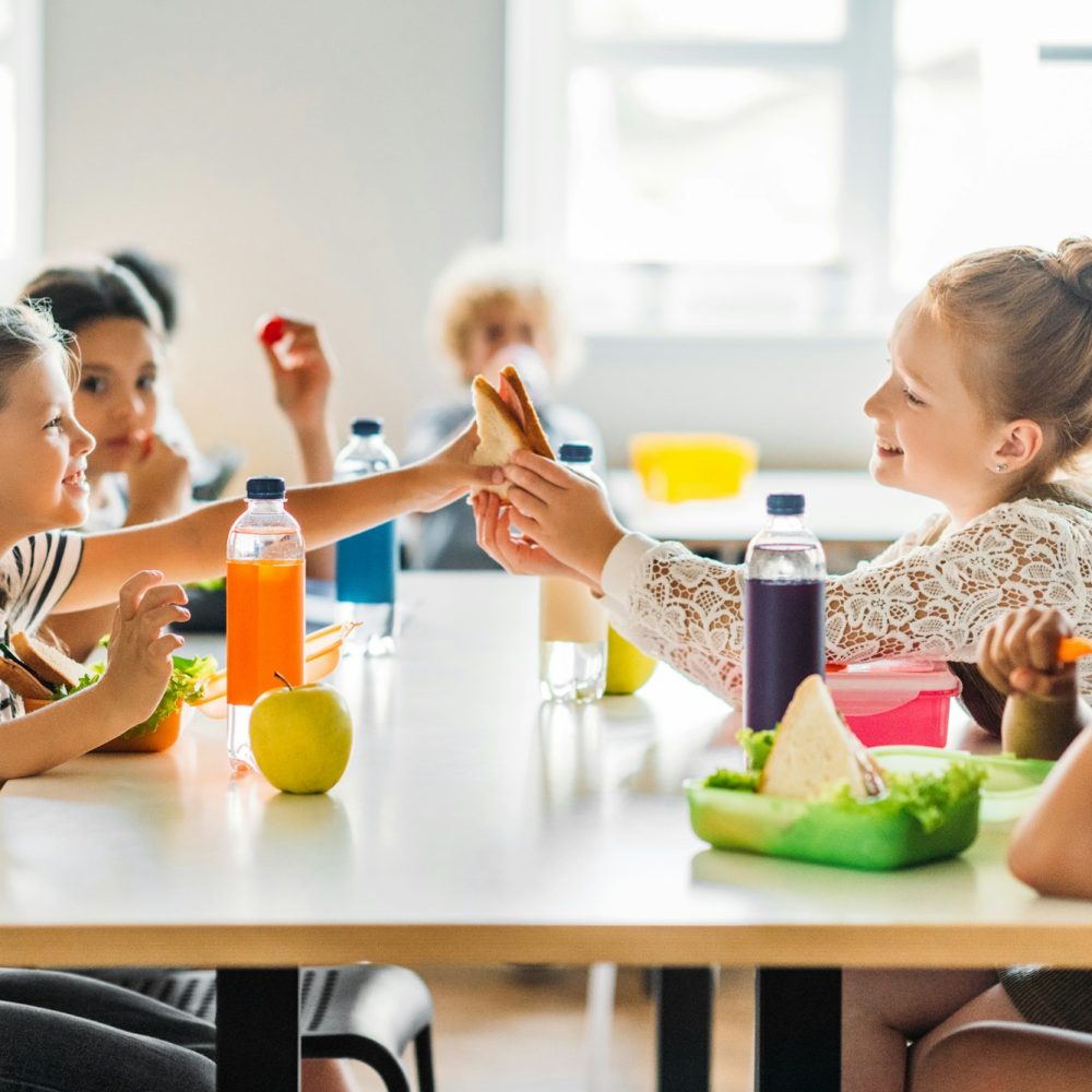 adorable schoolgirls taking lunch at school cafeteria